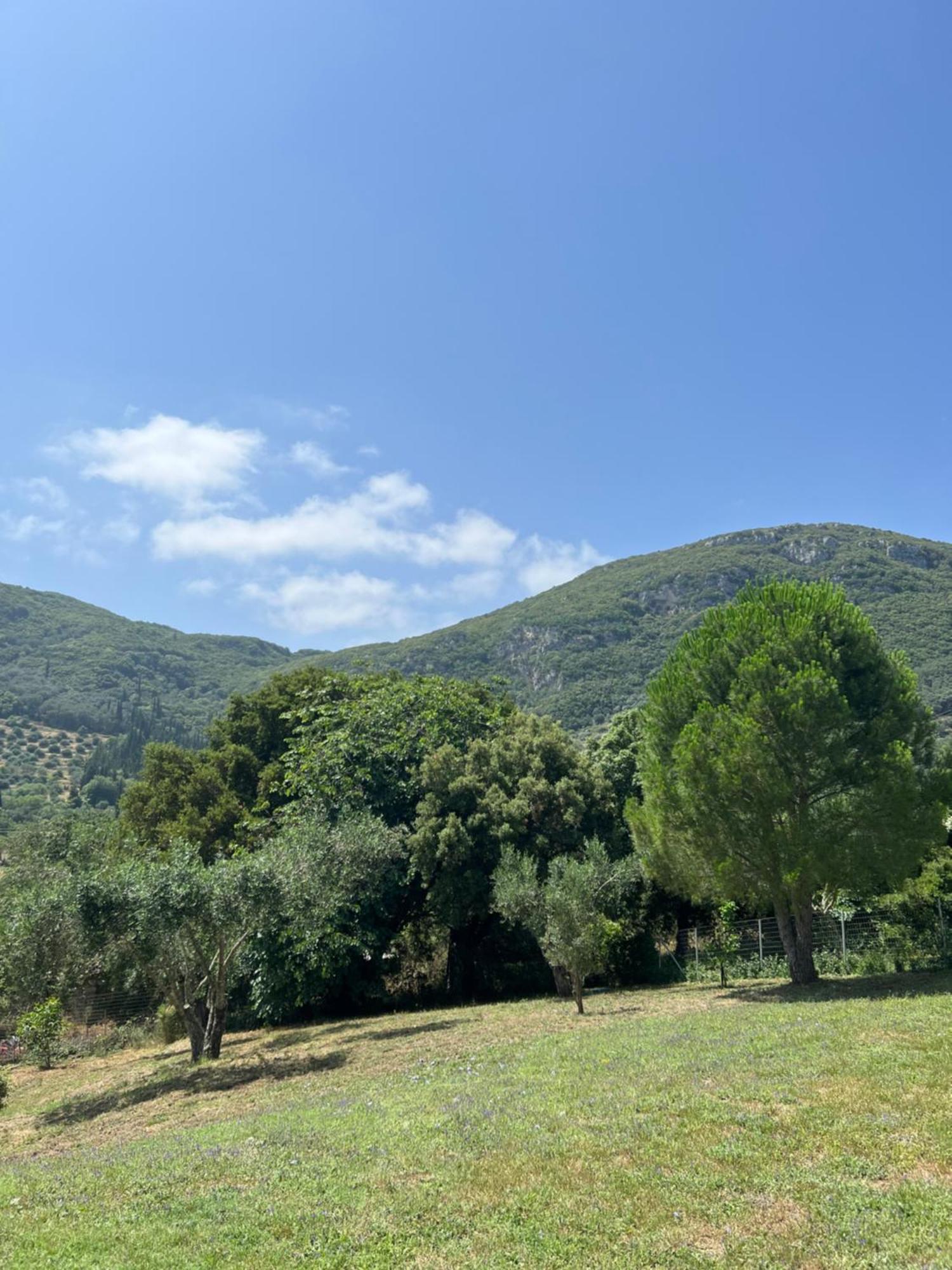 Villa Alexakis Doukades Exterior foto