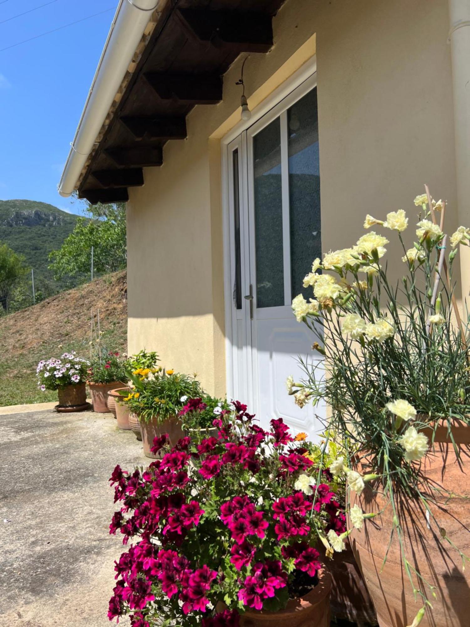 Villa Alexakis Doukades Exterior foto